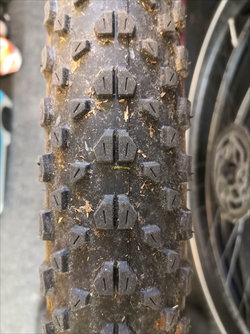 Maxxis Ikon.jpg