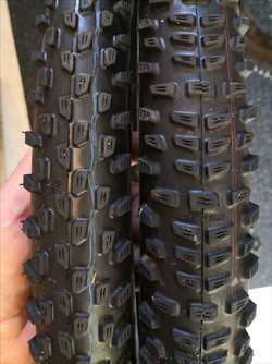Schwalbe Racing Ray, Racing Ralph.jpg