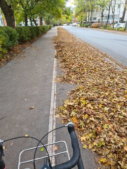 2020-10-20 14.17.35.jpg