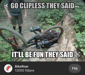 6393E870-ADCC-4BE1-995B-96DBE2FE8ECF.jpeg