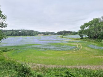 20210622_103131.jpg
