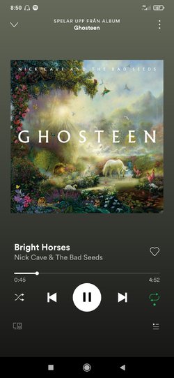 Screenshot_2021-07-06-08-50-40-459_com.spotify.music.jpg
