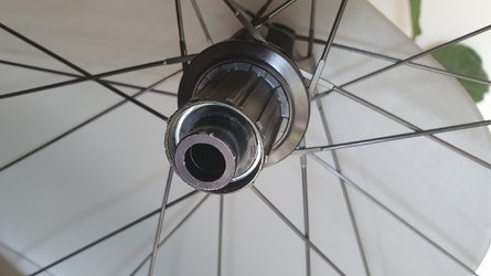 20210715_165742.jpg