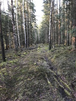 B64C0C3C-EAE9-4AAD-BEFF-3C71533237FA.jpeg