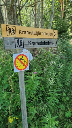 bild1.docx.jpg
