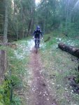 DSC00553.JPG