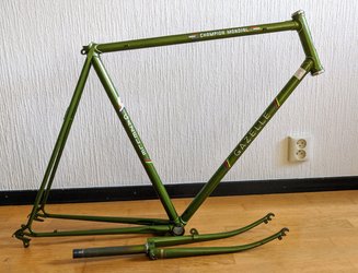 IMG_20210819_094832.jpg