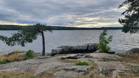 20210819_180221.jpg