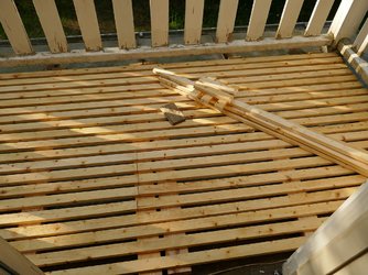 P1000085b.jpg