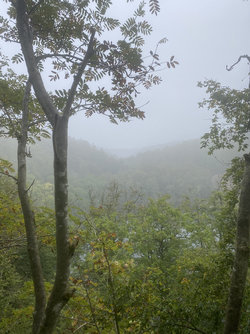 IMG_1211.jpeg