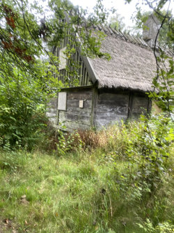 IMG_1232.jpeg