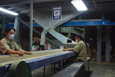 guatekaffe11.JPG