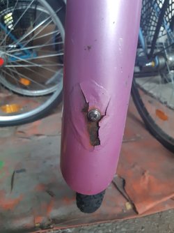 cykel rost 1.jpg
