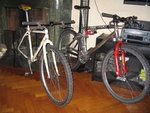 IMG_2655.jpg