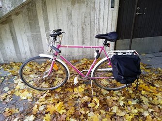 herrcykel.jpg