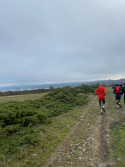 IMG_1306.jpeg