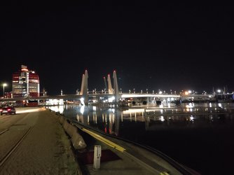 IMG_20211018_055310.jpg