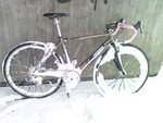 DSC00293.JPG