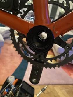 IMG_2882.jpeg