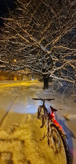20211202_235709.jpg