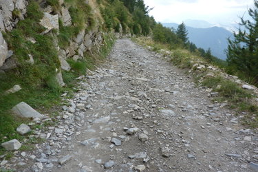 P1030015.jpg