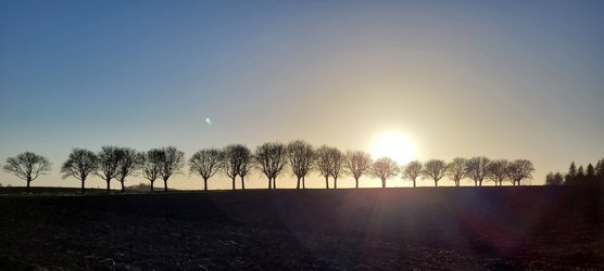 20211216_140334.jpg