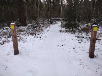 IMG_20211225_110525814.jpg