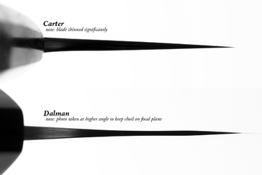 2EB35D8B-17B8-450C-8790-4CDCE1C4909D.png