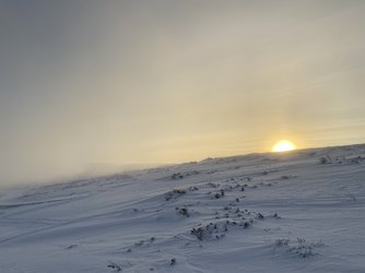 3C681860-877E-4640-9C06-1BDBD9D22B83.jpeg
