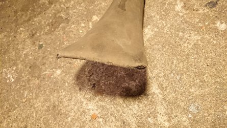 DSC_1935.JPG