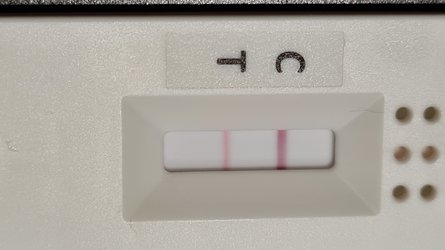 20220110_172913.jpg