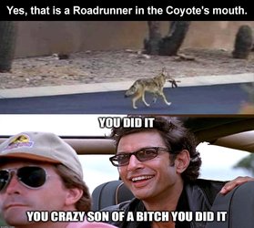 41e09_when-you-did-it.jpg