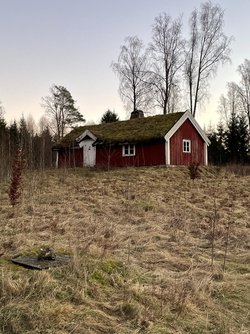 06EC7039-70CF-4B9A-8B8A-8D0D8E8A7B73.jpeg