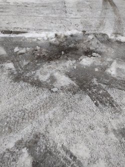 DSC_0244.JPG