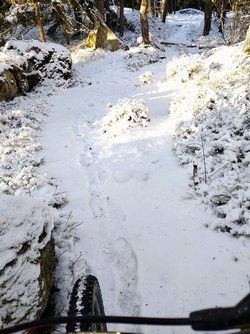 IMG_20220121_114851854~2.jpg