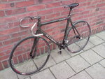 DSC00528.JPG
