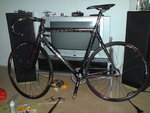DSC00523.JPG