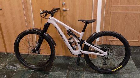 stumpjumper_evo_2021.JPG