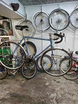 IMG_20220228_090249.jpg