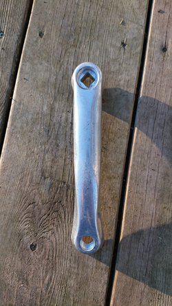 DSC_1999.JPG