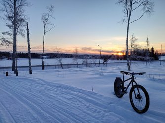 20220313_061504.JPG