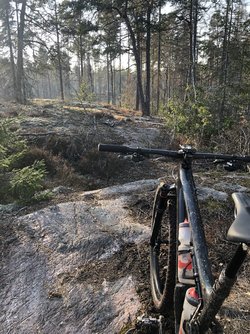 FC70D091-68F0-4A2D-8231-E096F868CE32.jpeg