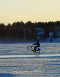 IMG_5259_crop.JPG