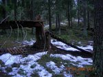 DSCN0547.JPG