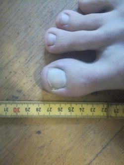 IMG_20220327_123259.jpg