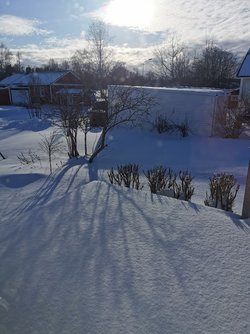 IMG_20220404_170646.jpg