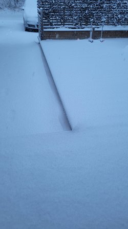 20220405_061450.jpg