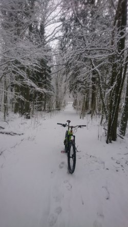 DSC_0800.JPG