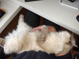 20220328_095731.jpg