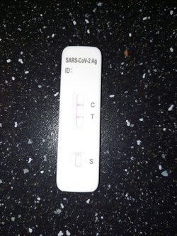Resized_20220410_210739.jpeg
